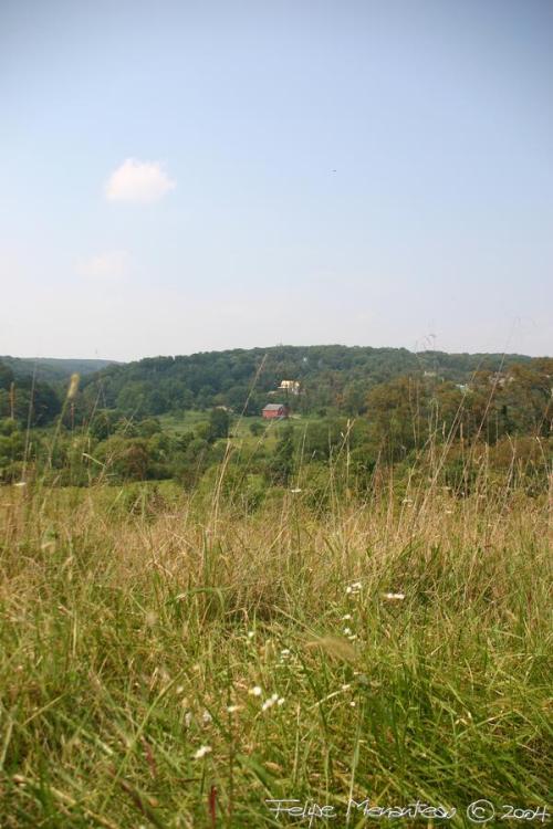 .resize_IMG_0903.JPG