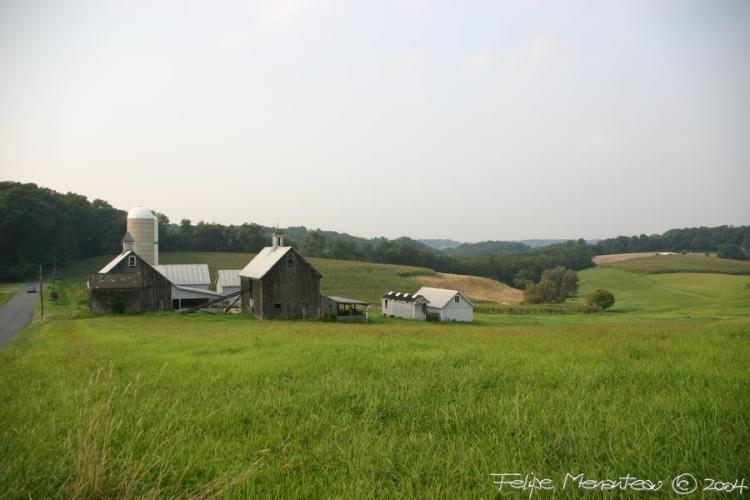.resize_IMG_0958.JPG